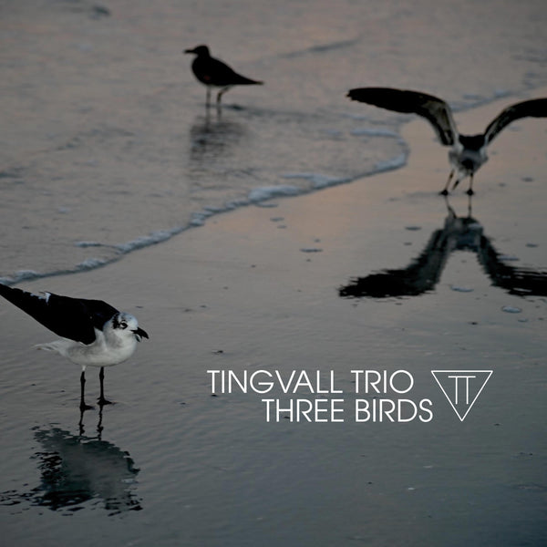 THREE BIRDS fly digitally into new sound spheres...