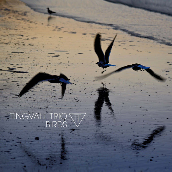 TINGVALL TRIO - BIRDS (release date: June 30)