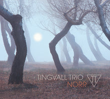 Load image into Gallery viewer, SKIP Theme Package #3 (2 CDs): Winter Tunes with Tingvall Trio and Emil Brandqvist Trio