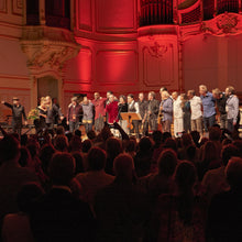 Load image into Gallery viewer, THE CONCERT-20 Years Skip Records Live At Laeiszhalle Hamburg